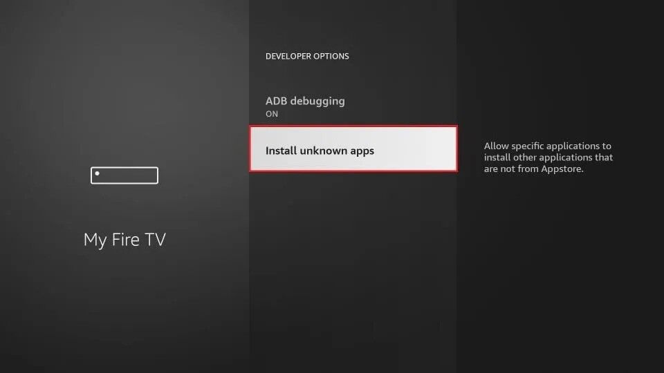 Developer Options with Install Unknown Apps highlighted