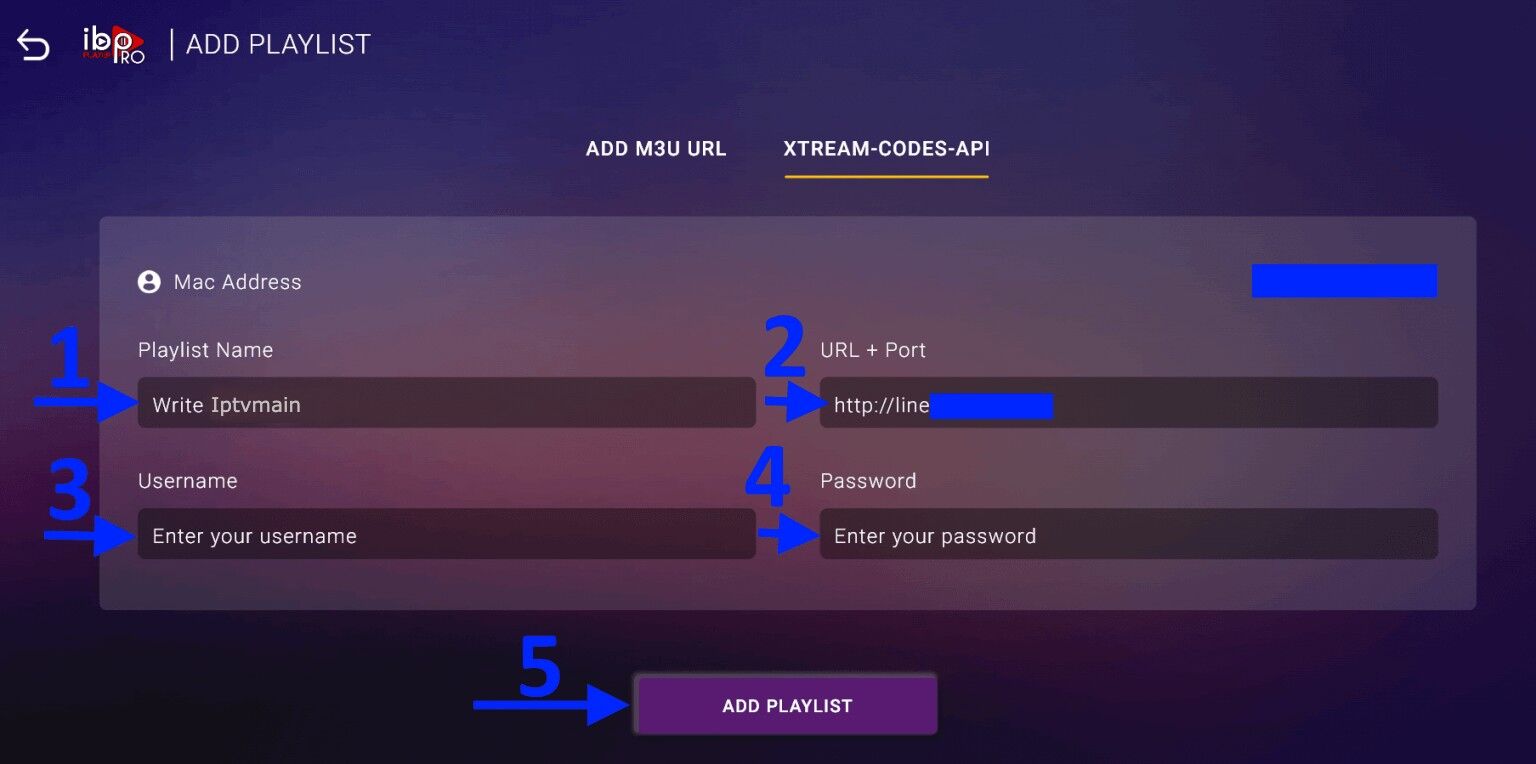 IBO Player Pro Xtream Codes API form with numbered fields